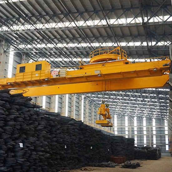 Fem Standard Electric Overhead Crane Bridge Crane